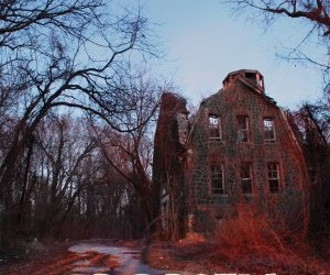 Throwback Thursday: Myths And Legends—Cropsey