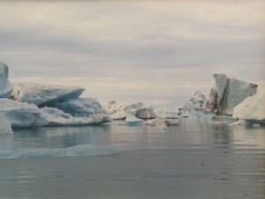 We sailed through Iceland's Jökulsárlón iceberg lagoon.