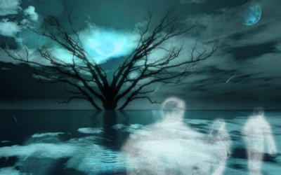 Throwback Thursday: Is Creativity A Curse?