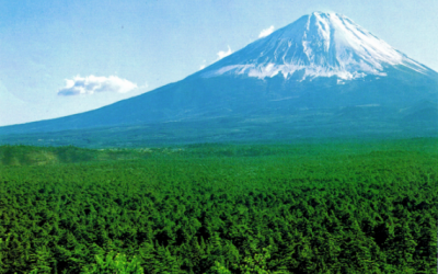 Throwback Thursday: Myths And Legends—The Angry Ghosts Of Japan’s Suicide Forest