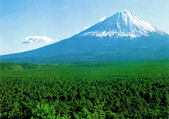 Myths And Legends: The Angry Ghosts Of Japan’s Suicide Forest