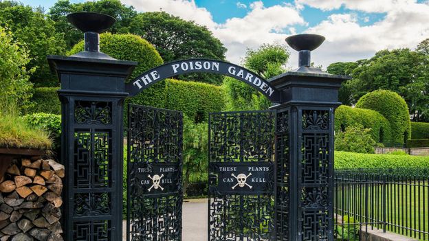 Pick Your Poison—Straight From The Garden